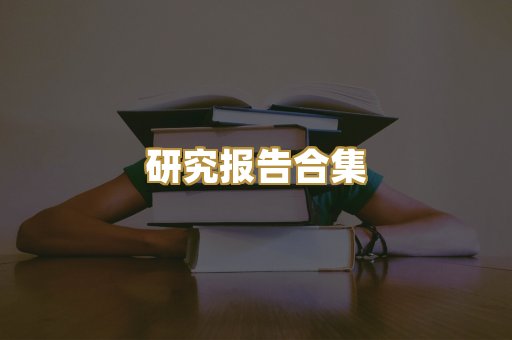 研究报告合集